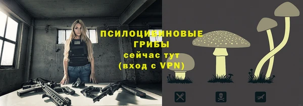 соль курить ск Переславль-Залесский