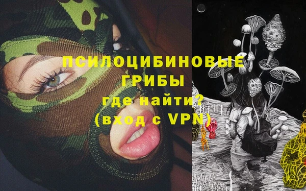 бошки Богородск