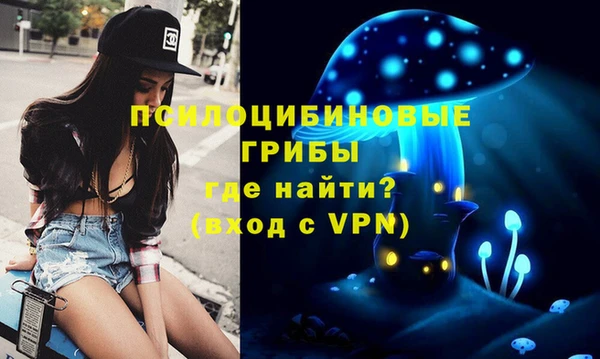 соль курить ск Переславль-Залесский