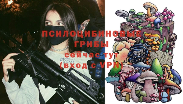 2c-b Пересвет