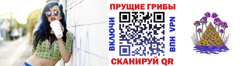 Псилоцибиновые грибы Psilocybe Купить Анжеро-Судженск